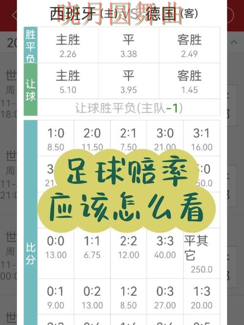 世界杯买球网站赔率变化怎么看更合理一文看懂