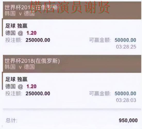 世界杯官方信息背景下的世界杯投注平台推荐盘点与平台排行直播解析 世界杯官方信息背景下的世界杯投注平台推荐盘点与平台排行直播解析